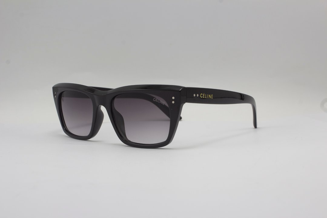 IMG_0915 Celine Sunglasses 40060