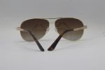Eye Shine Sunglasses ES1305