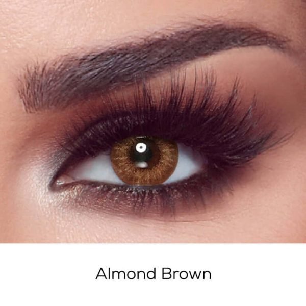 Bella Contact Lenses Almond Brown