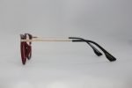 Swarovski Female Frame TR901023