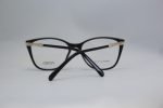Fendi Female Frame DT96019