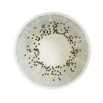 Clarizen by JN Contact Lenses Smokey Gray