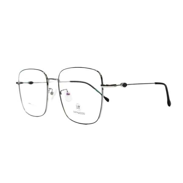 JN Glasses Transition Glasses 1009