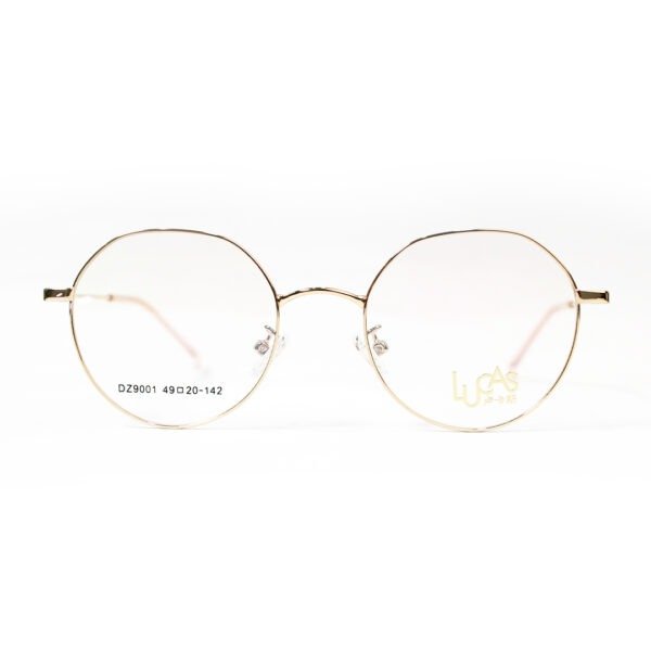 JN Glasses Female Frame DZ9001