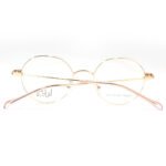 JN Glasses Female Frame DZ9001