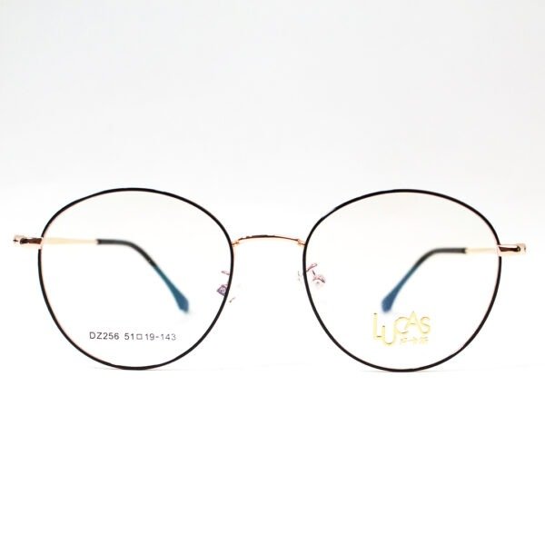 JN Glasses Female Frame DZ256