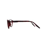 JN Glasses Female Frame TT2069