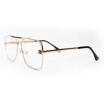 JN Glasses Sunglasses 5009 Golden